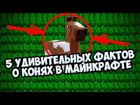 Вопрос: Как разводить лошадей в Minecraft?