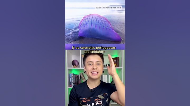 ANIMAIS MAIS PERIGOSOS DAS PRAIAS BRASILEIRAS! #Shorts