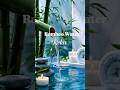 Bamboo Water Sounds 🌿Relaxing Spa Ambience for Deep Calm #calmnessinmotion #bamboorelaxation #relax