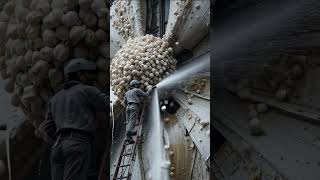 Thousands of Barnacles Removed from a Massive Ship Propeller – Satisfying Deep Clean #barnacles
