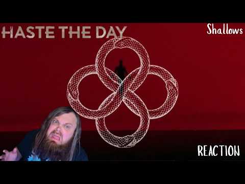 We Gonna Dance! Haste The Day - Shallows (REACTION)