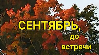 Сентябрь, до встречи.