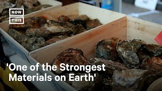 How Shellfish Can Help Save the Environment