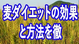 麦ダイエットの効果と方法を徹