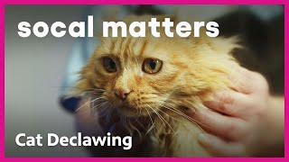 Should California Ban Vets From Declawing Cats? | SoCal Matters