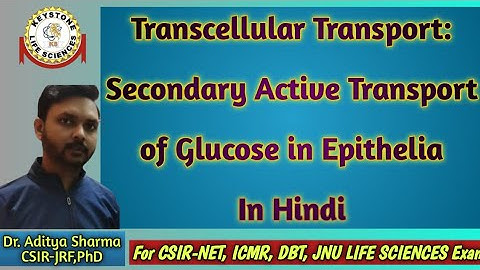 Transcellular Transport| Secondary Active Transport of Glucose| In Hindi| By Dr. Aditya Sharma