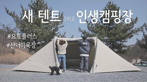 요토플러스로 산너미목장에 다녀왔어요ㅣ꼭한번 가봐야할 캠핑장ㅣ감성캠핑ㅣ터널형텐트ㅣTFS tentsㅣ애견동반캠핑ㅣ봄캠핑