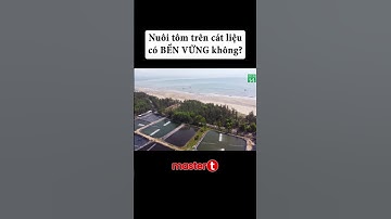 Mô hình nuôi tôm trên cát liệu có bền vững không?