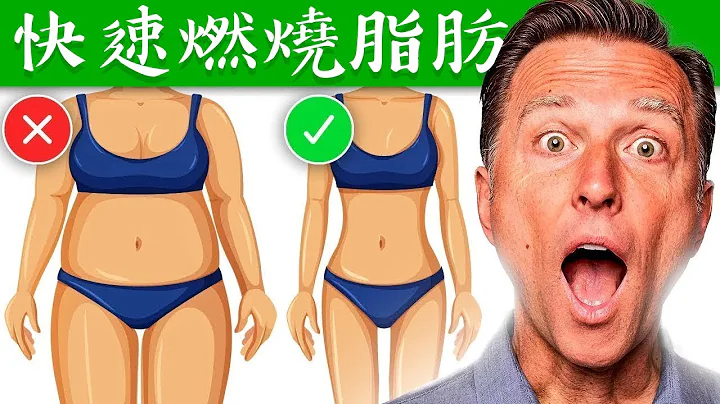 快速燃燒脂肪？啟動燃燒脂肪激素、並降低儲存脂肪激素，快速減肥,柏格醫生 Dr Berg - 天天要聞