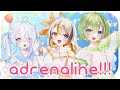 【歌ってみた】adrenaline!!!【VEE／Dev-d】