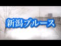 新潟ブルース ムード歌謡 沢ひろし