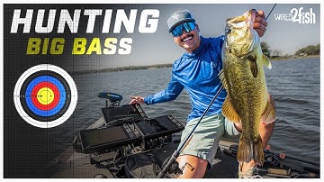 How to Bass Fish Flutter Spoons on Overlooked Spots