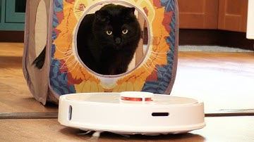 2 Cats REACT to a Robot Vacuum