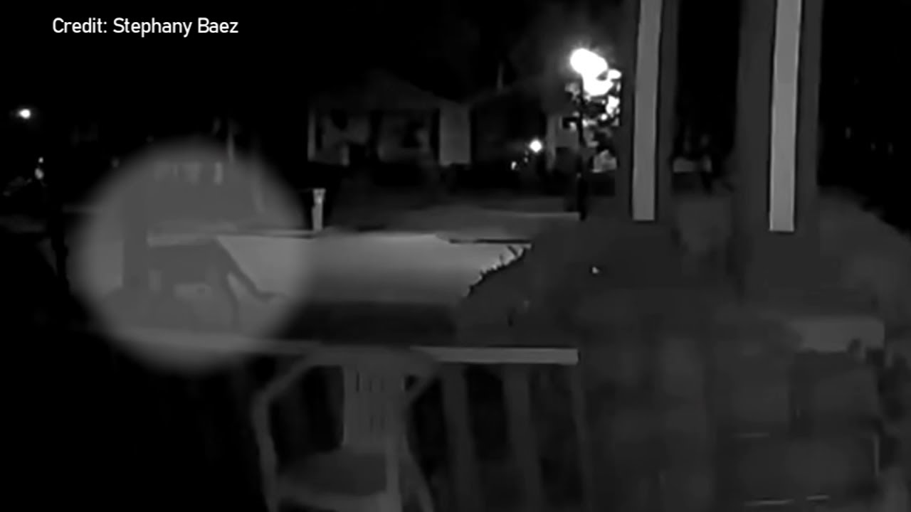 ⁣Man describes face-to-face encounter with mysterious large cat in New York: "It said 'rawr
