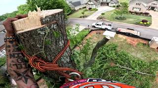 Cut and Drop Sweet Gum Tree Removal