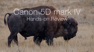 Canon 5D mark IV Hands-on Review
