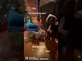 Talking about pressure? Dog can&rsquo;t wait to open holiday presents ❤️🐾🦴🐾❤️