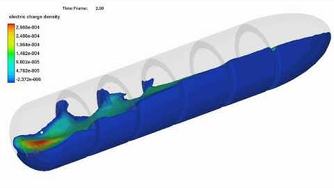 Electric Charge Distribution - FLOW-3D