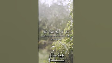 ومثل كلمة خبيثة كشجرة خبيثة | القارئ محمد خالد نادي #islam #islamicvideo #quran #islamic #فلسطين