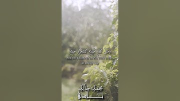 ومثل كلمة خبيثة كشجرة خبيثة | القارئ محمد خالد نادي #islam #islamicvideo #quran #islamic #فلسطين