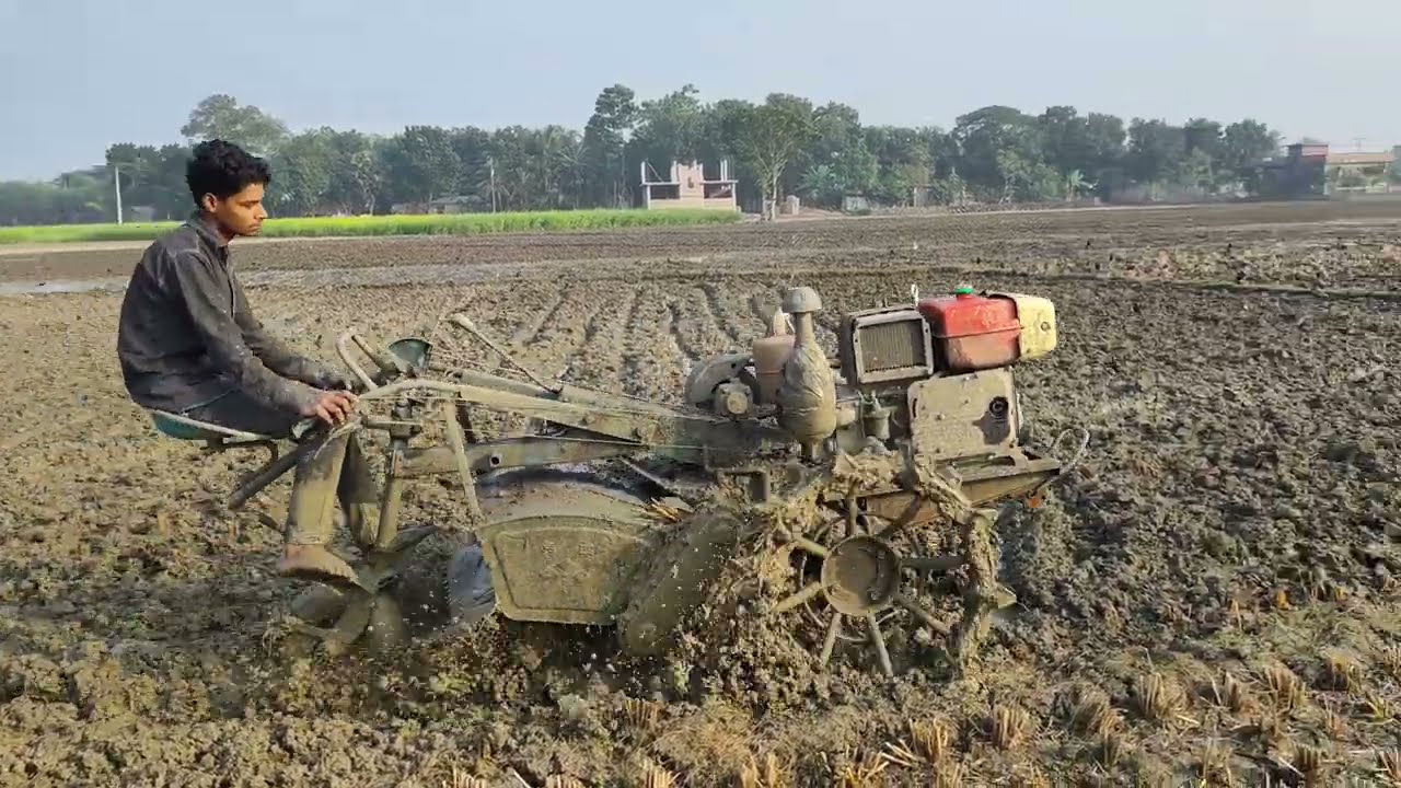 পাওয়ার টিলার দিয়ে ধান রোপণের জন্য নিখুঁতভাবে জমি কাদা করার পদ্ধতি Power