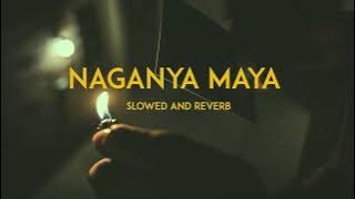 Sajjan Raj Vaidya - Naganya Maya (slowed and reverb )
