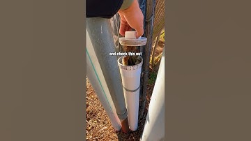 Can you BELIEVE what I found protecting this cache?! There must be a lot of acorns nearby! 👀