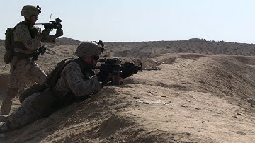 Assault Amphibian Battalion Conducts Live-Fire and Maneuver Range