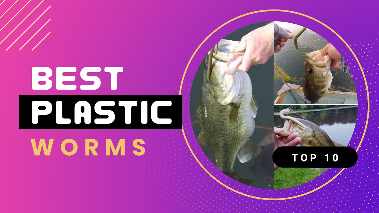 The 10 Best Plastic Worms For 2023 - Top plastic worm of the new year! 