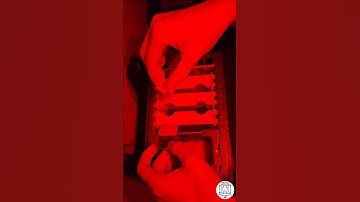 Queen Rearing: Placing a Ready-to-Emerge Queen Cell into a Mini Mating Hive 🐝👑 #bee #beekeeping