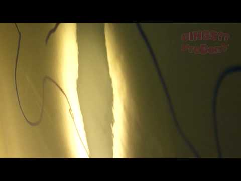 Pro Dent - Paintless Dent Removal - West Central I...