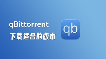 qBittorrent 如何下载适合的版本