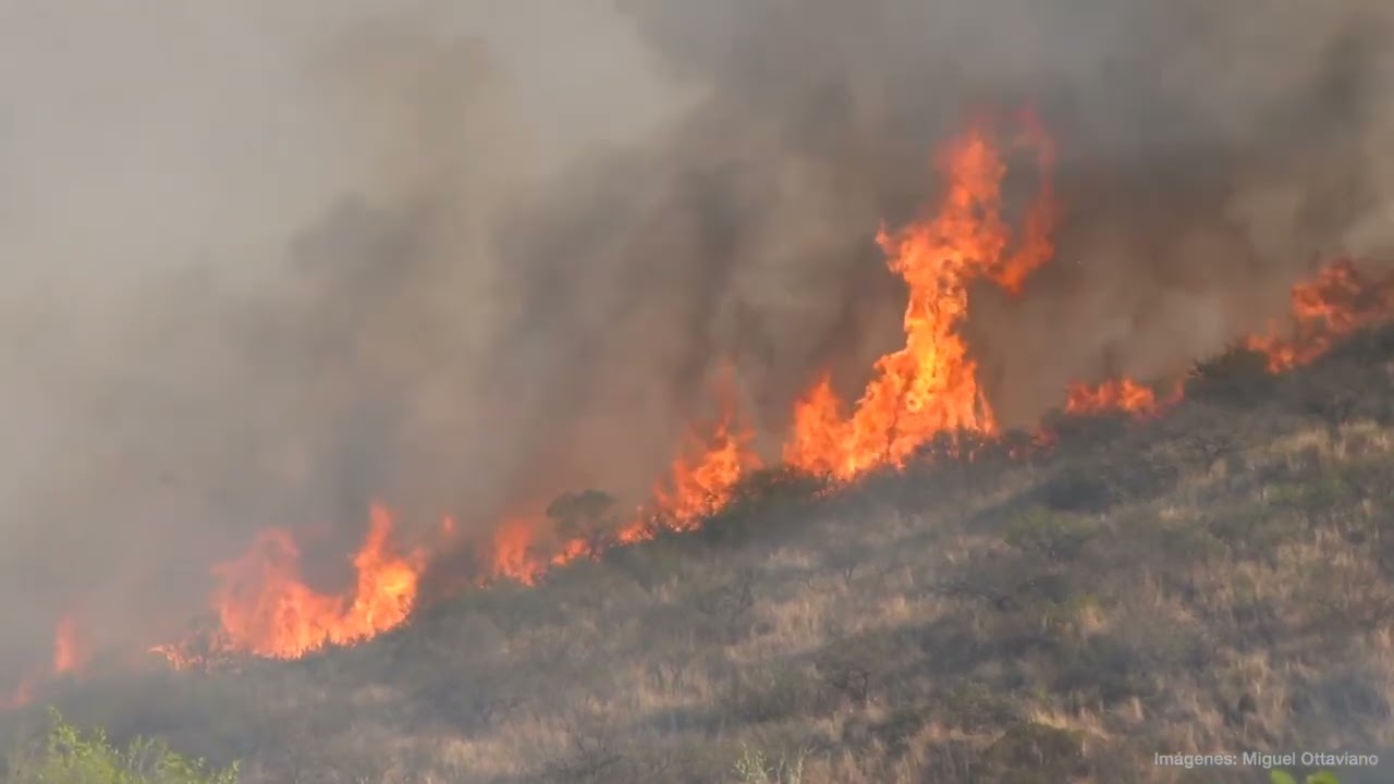 Marcos Juárez: Día de la concientización para la prevención de incendios forestales