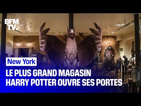 Vidéo: Un Café Harry Potter Ouvre Ses Portes à New York