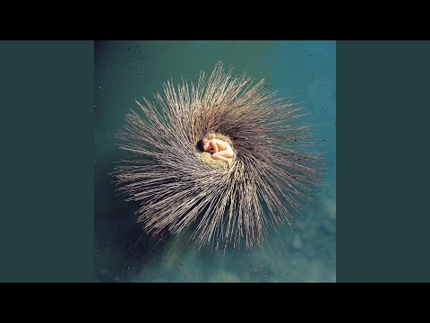 Putar The Nest That Sailed The Sky - Peter Gabriel