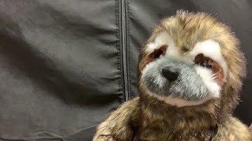 Amico DELAYED 2024 (INTERVIEW With Tommy Tallarico OF INTELLIVISION)