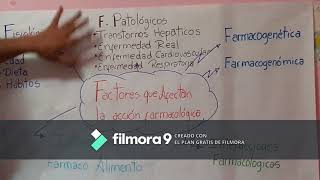 Factores que afectan la acción farmacológica