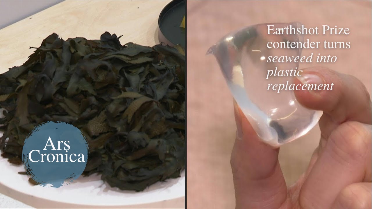 Earthshot Prize contender turns seaweed into plastic replacement ...
