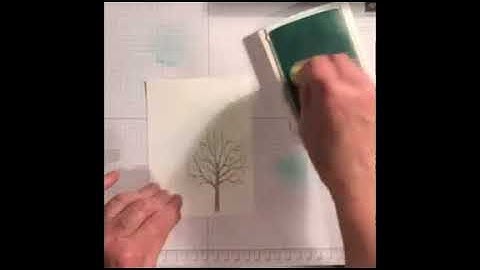 On the CASE Sheltering Tree - Emboss Resist