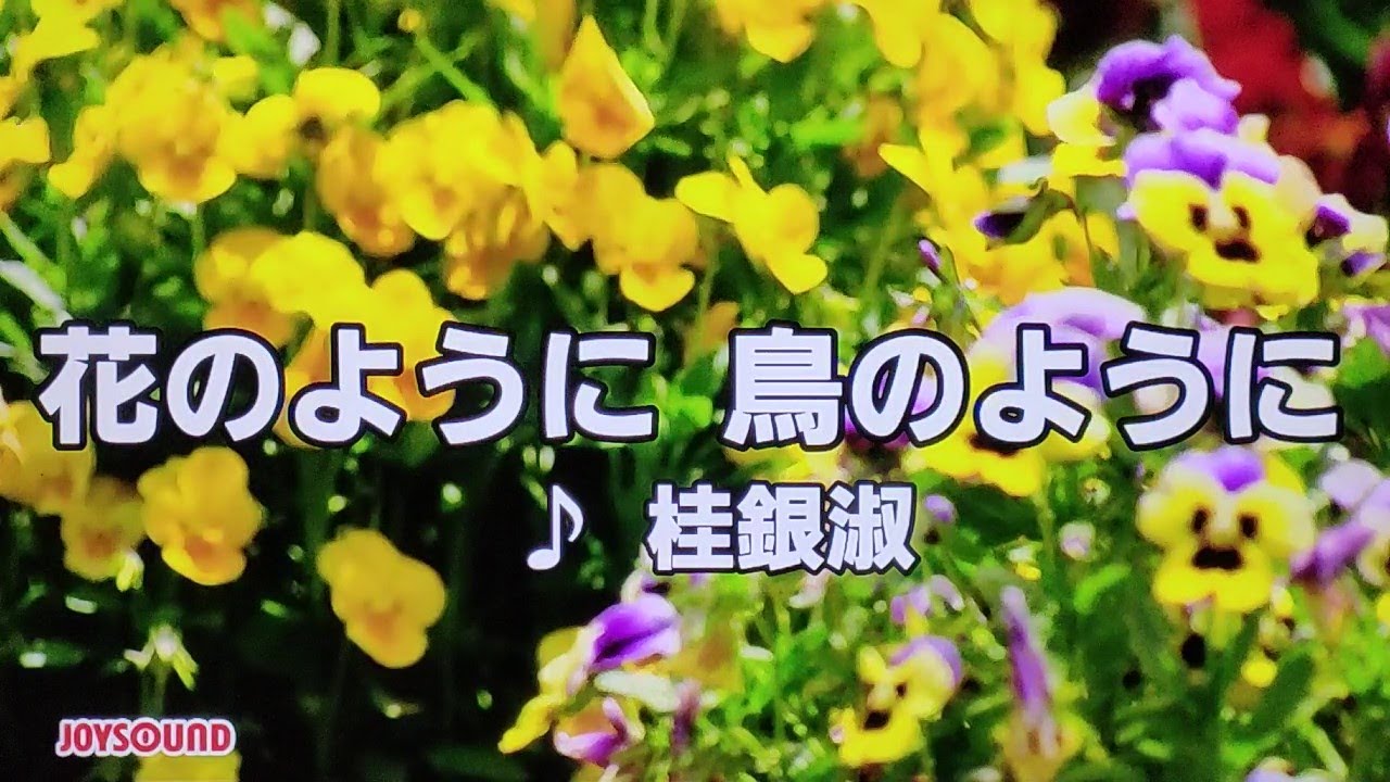 花のように鳥のように 桂銀淑 1994 ~cover ♪AKIRA - YouTube