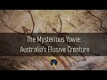 The Mysterious Yowie Australia's Elusive Creature
