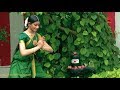Pavai series - Thiruvempavai 10 &amp; Thiruppavai 10 - Sridevi Nrithyalaya - Bharathanatyam Dance