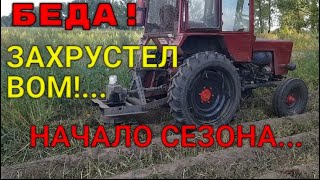 видео: КОШУ БУРЬЯН НА КАРТОШКЕ ! Опять БЕДА в начале сезона! Отказал ВОМ... картинка: КОШУ БУРЬЯН НА КАРТОШКЕ ! Опять БЕДА в начале сезона! Отказал ВОМ...