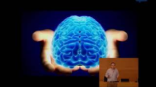 Neuromitos: ciencia y anticiencia