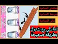 نوع الشعر حسب المسامية ازاى اعرف نوع مساميةشعرى اختبار مسامية الشعر فى البيت بالصور