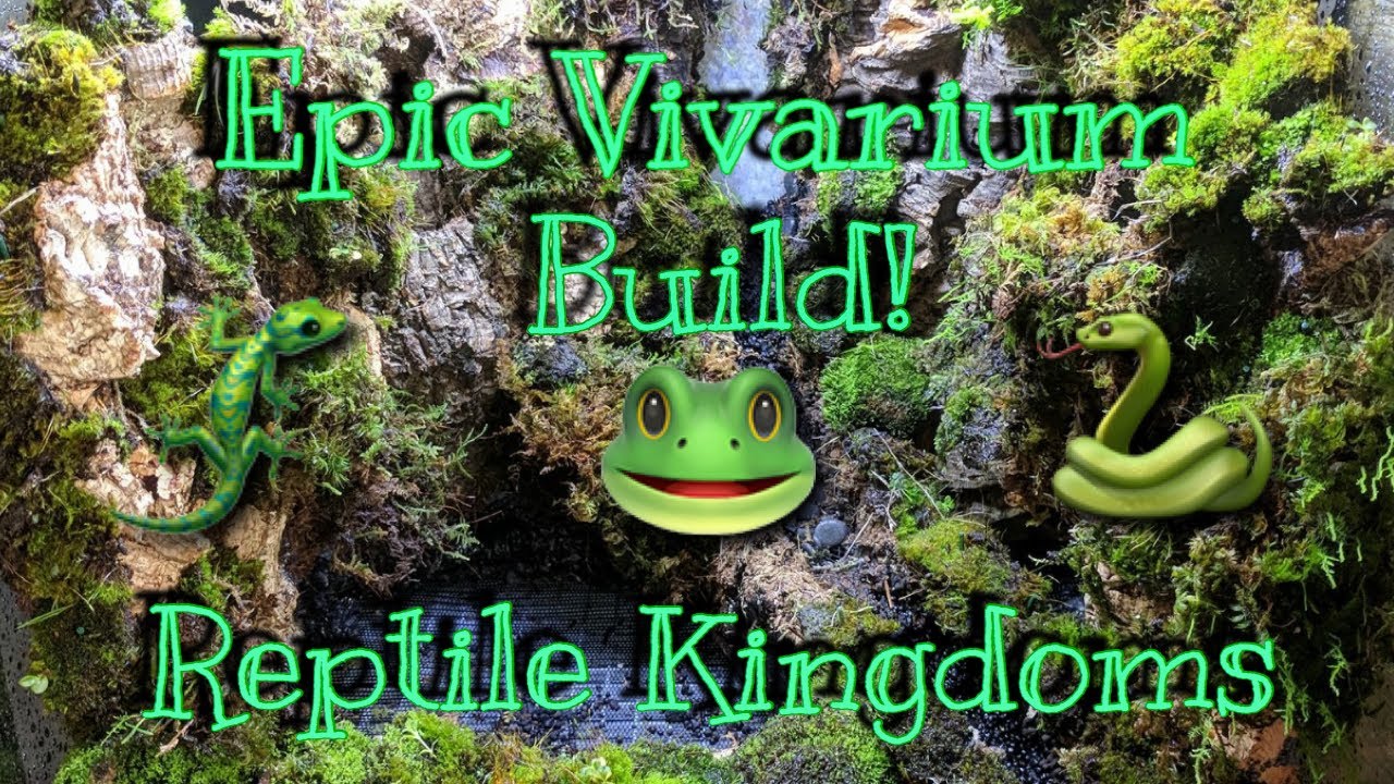 camera iphone 8 plus apk PLANTED VIVARIUM BEAUTIFUL DISPLAY