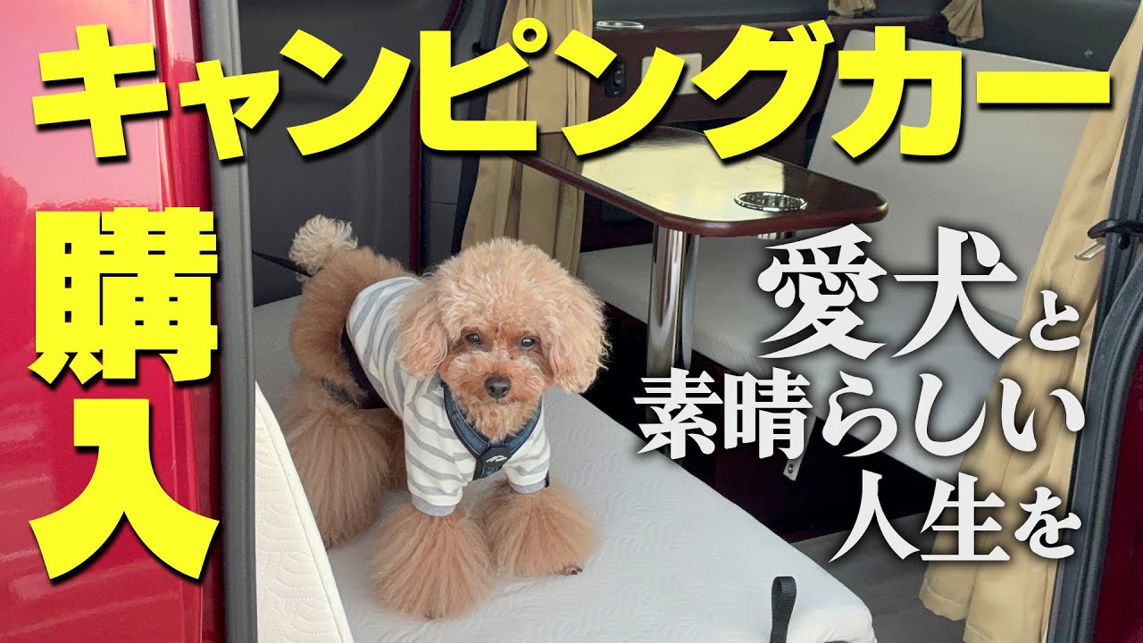 【トイプードルのテト】『愛犬と車旅』キャンピングカー購入！人生設計第一弾