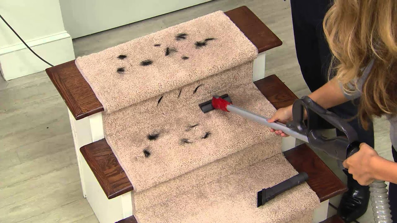 Dyson DC25 Ball Upright Vacuum with 5 Attachments with Dan Hughes YouTube