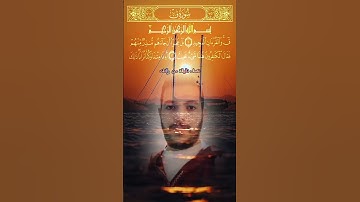 تلاوة خاشعة من سورة ق 💓