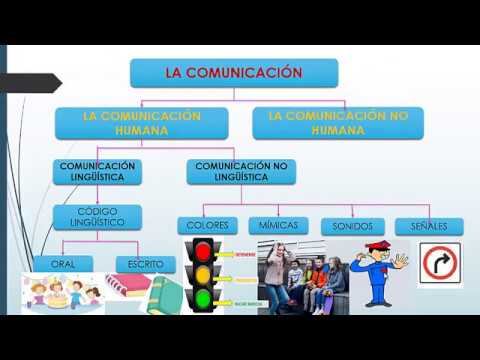 COMUNICACIÓN LINGÜÍSTICA Y NO LINGÜÍSTICA - YouTube